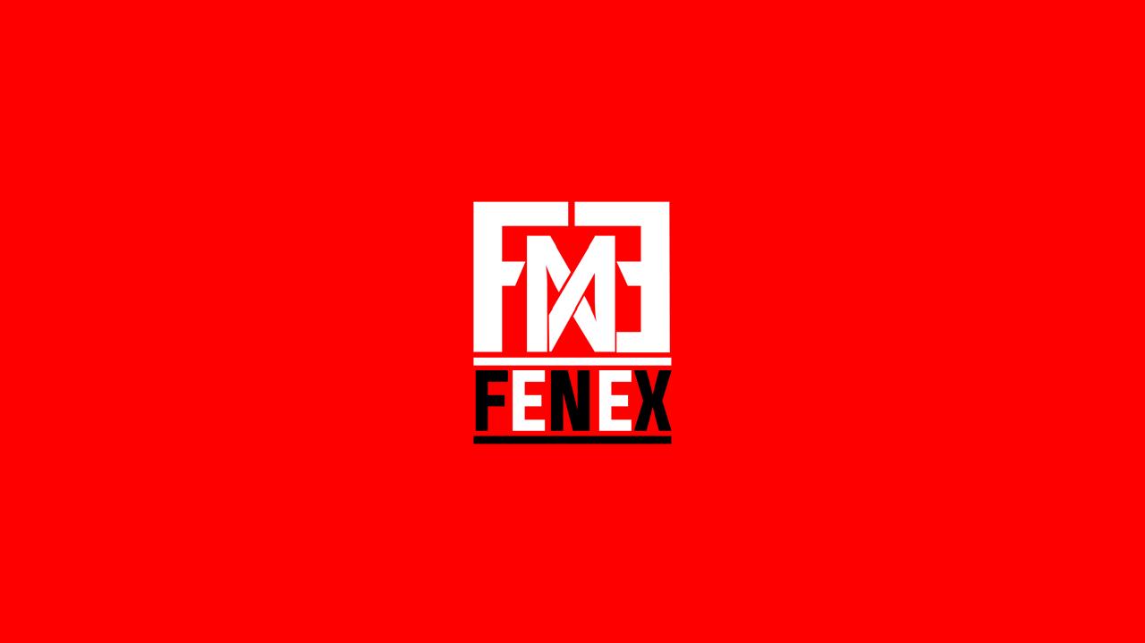 Fenex Events And Tours Pvt Ltd