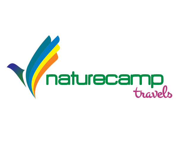 Nature Camp Travels